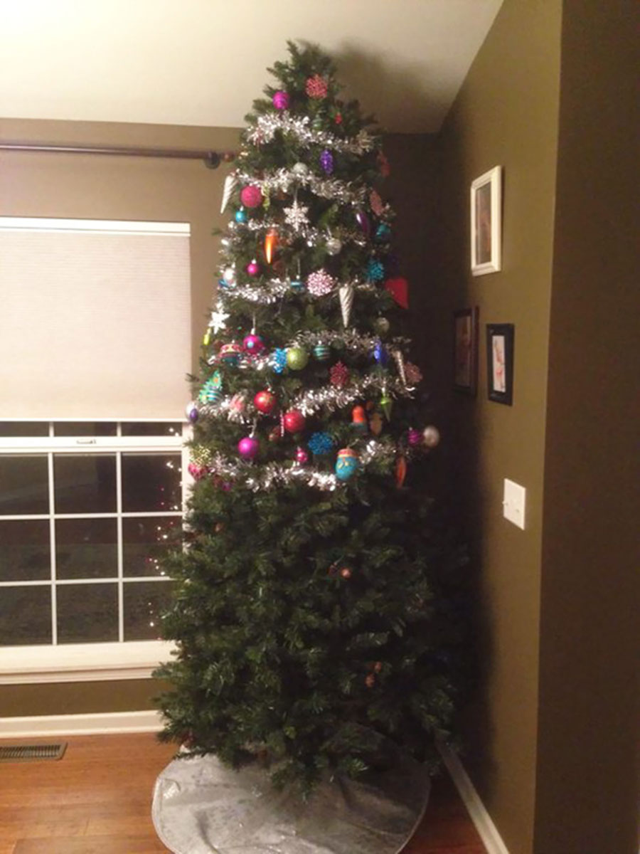 MELHOR DE 10 | » 10 ideias originais de decoração de árvores de Natal para  quem tem animais em casa