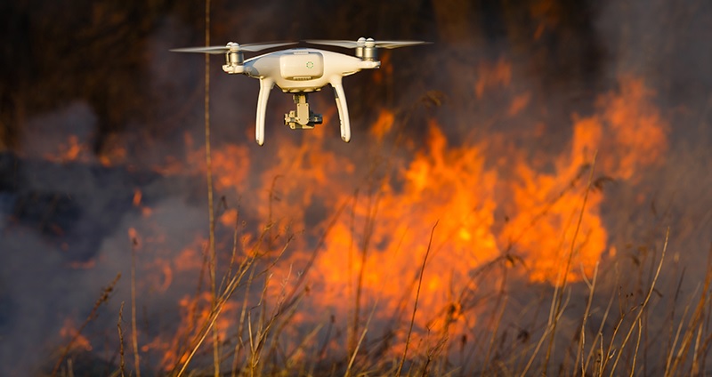 drone para segurança e proteção da vida florestal